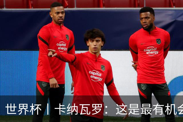 世界杯丨卡纳瓦罗：这是最有机会拿下的一场