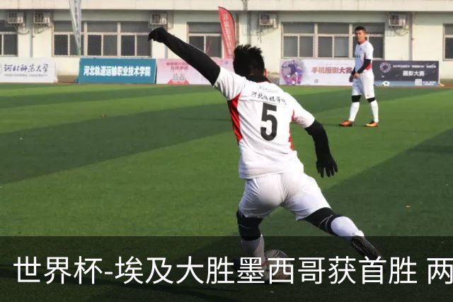 世界杯-埃及大胜墨西哥获首胜 两队均无缘16强