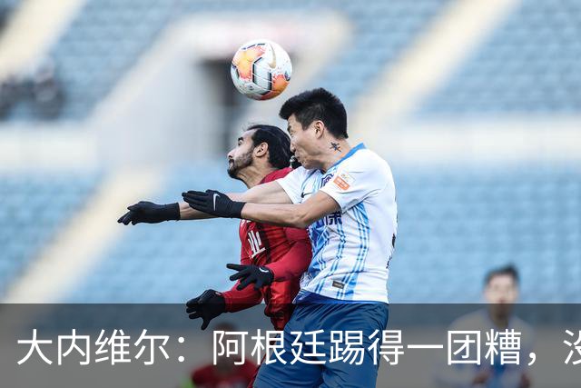 大内维尔：阿根廷踢得一团糟，没有梅西他们达不到这样的高度