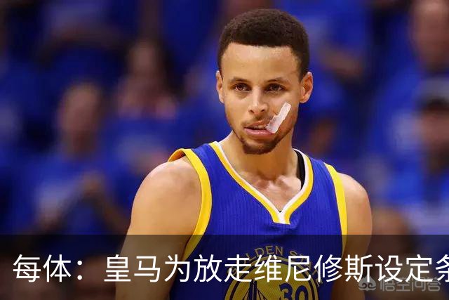 每体：皇马为放走维尼修斯设定条件 报价不得低于1.6亿欧