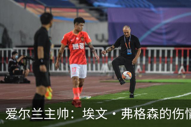 爱尔兰主帅：埃文·弗格森的伤情比预期更严重，可能要10月份康复