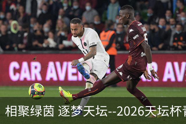 相聚绿茵 逐梦天坛--2026天坛杯青少年足球交流火热开启